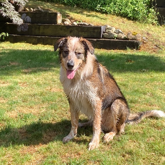 Meet your Posher, Kaitlyn - Picture 1 of 1